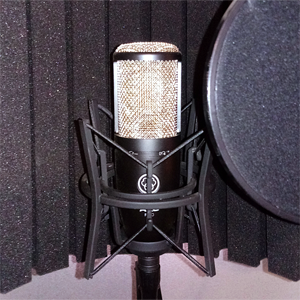 AKG P220 Condensor Microphone